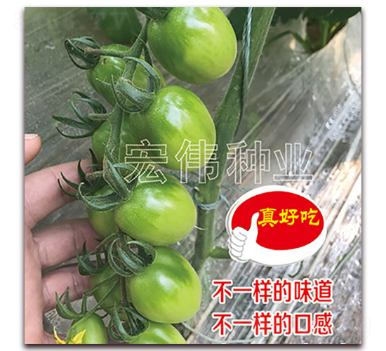 ��˼��-ӣ������������-��ΰ��ҵ