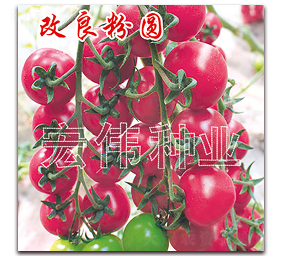 ������Բ-ӣ������������-��ΰ��ҵ