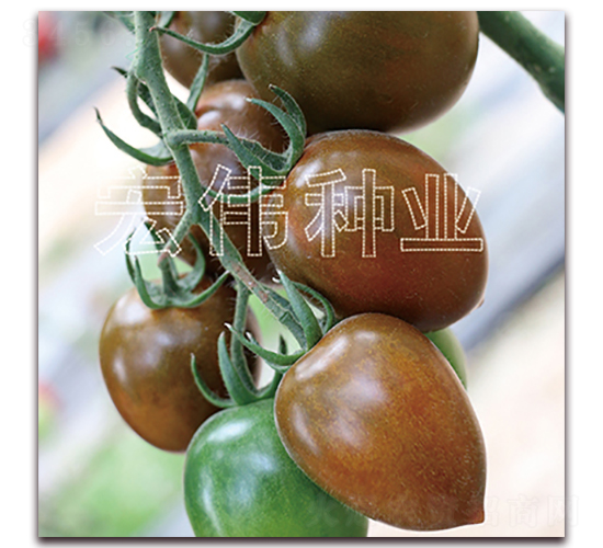������һ��-ӣ������������-��ΰ��ҵ