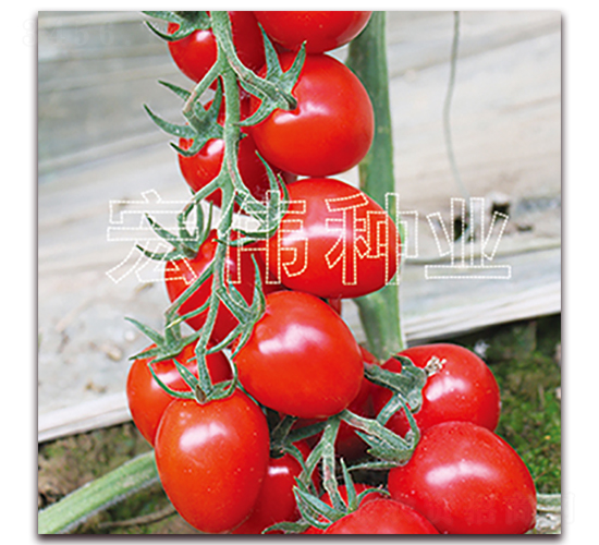 ����189-ӣ������������-��ΰ��ҵ