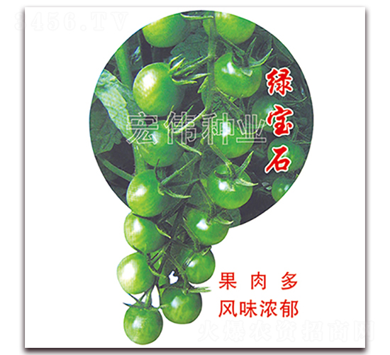 �̱�ʯ-ӣ������������-��ΰ��ҵ