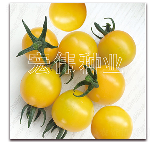 �����-ӣ������������-��ΰ��ҵ