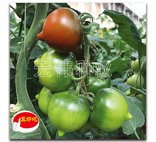 ����һ��-ӣ������������-��ΰ��ҵ