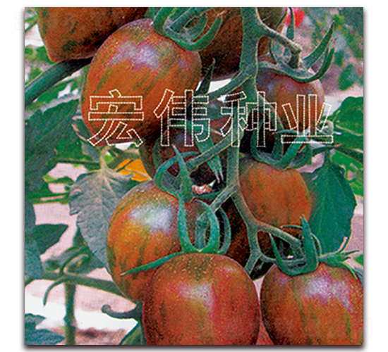 ����12-8-ӣ������������-��ΰ��ҵ