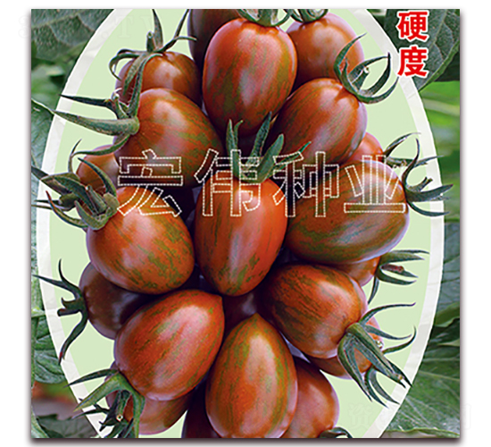 �ϲ���-ӣ������������-��ΰ��ҵ