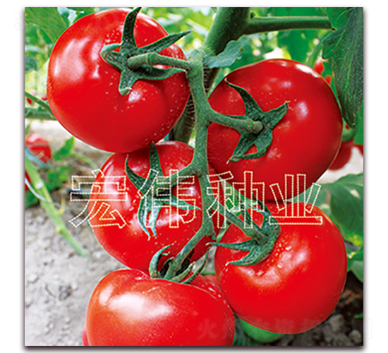 ȫ��218-�������������-��ΰ��ҵ