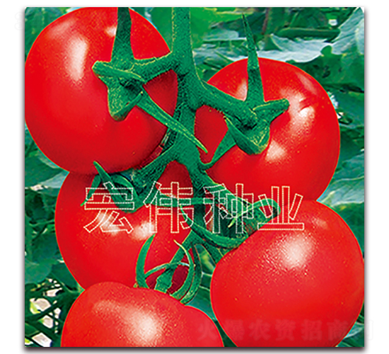 ����2008-�������������-��ΰ��ҵ