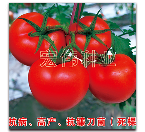 ȫ��219-�������������-��ΰ��ҵ
