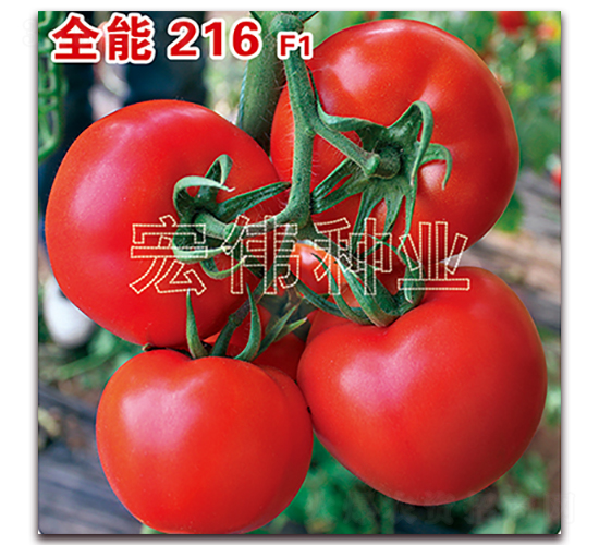 ȫ��216-�������������-��ΰ��ҵ