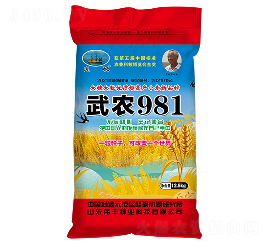 ��ũ981��С�����ӣ�-ΰ����ҵ
