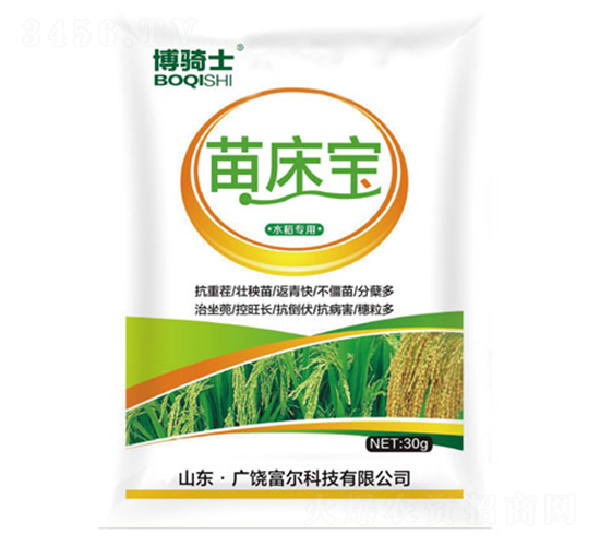 �紲��-����ʿ-�����Ƽ�