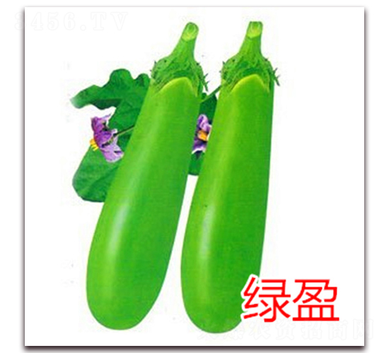 ��ӯ-��������-��ŵũҵ