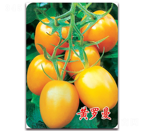 ������-ӣ�ҷ�������-��ŵũҵ