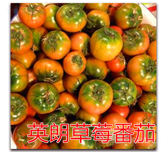Ӣ�ʲ�ݮ��������-��ŵũҵ