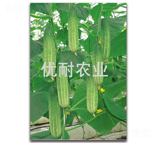 �Ź�901-�ƹ�����-����ũҵ