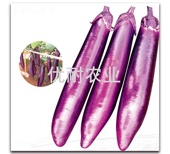 ���ͺ���2013-��������-����ũҵ