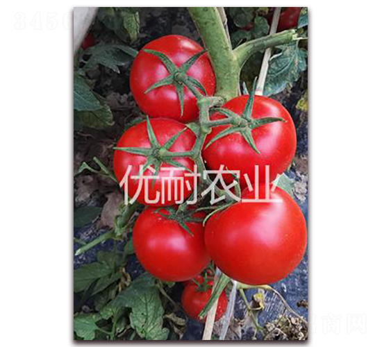 �ź�1813-��������-����ũҵ