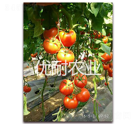 �ź�1513-��������-����ũҵ