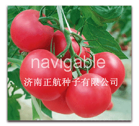 �۱�88-�۹���������-����