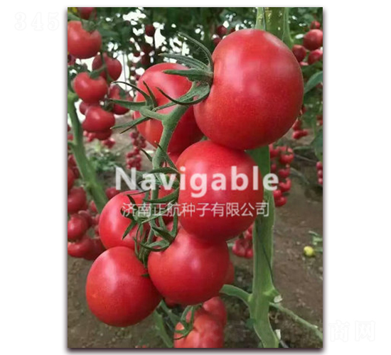 K214-�۹���������-����