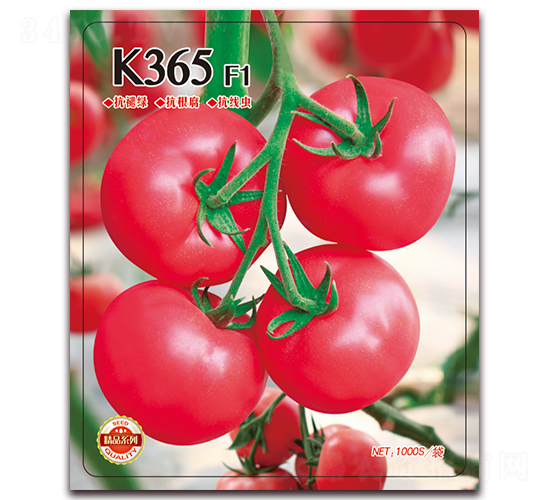 K365-�۹���������-����