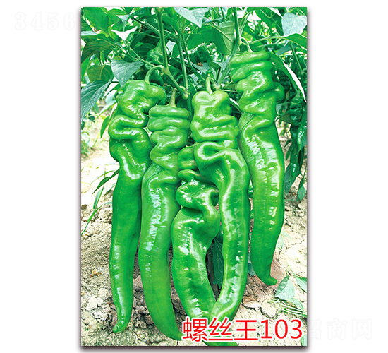 ��˿��103-��������-����ũҵ