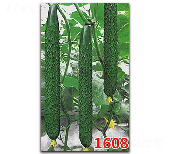 1608-�ƹ�����-����ũҵ
