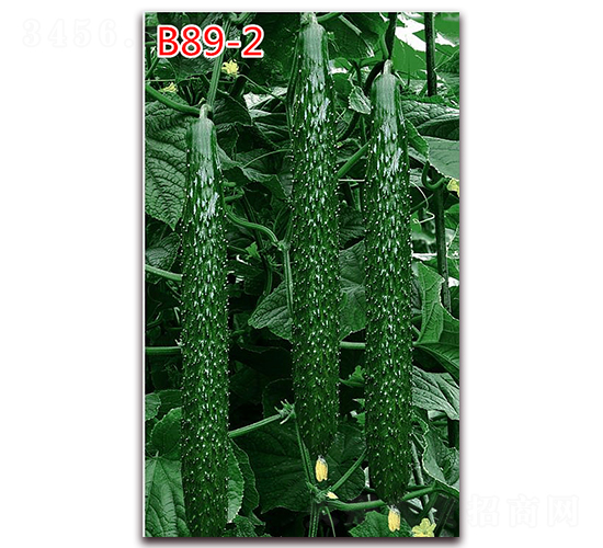 B89-2-�ƹ�����-����ũҵ