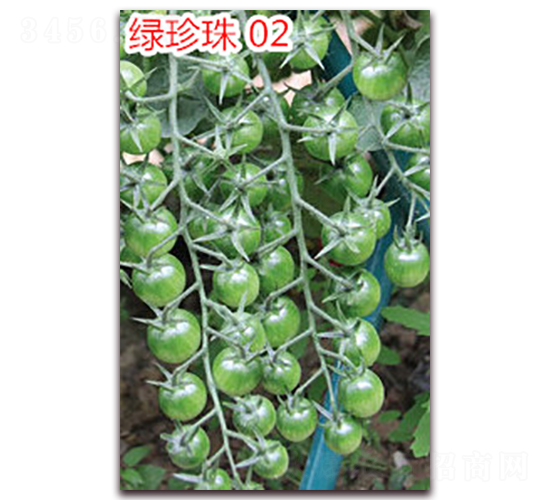 ������02-ӣ��С����������-����ũҵ