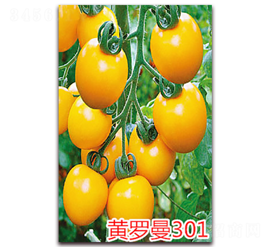 ������301-ӣ��С����������-����ũҵ