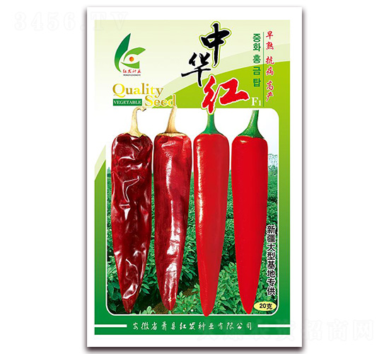 �л���-��������-�췢��ҵ
