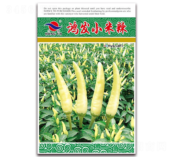 �跢С����-��������-�췢��ҵ