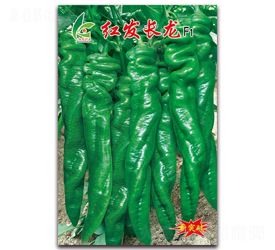 �췢����-��������-�췢��ҵ