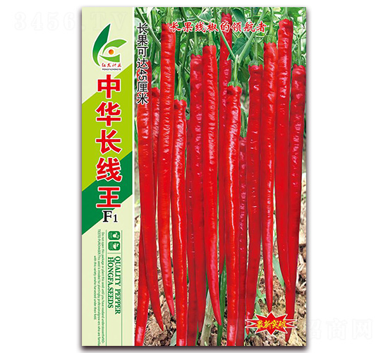 �л�������-�߽�����-�췢��ҵ
