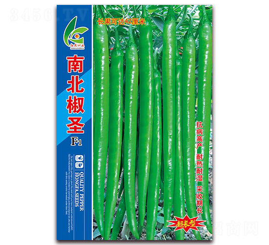 �ϱ���ʥ-�߽�����-�췢��ҵ