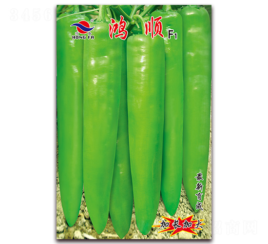 ��˳-�⽷����-�췢��ҵ