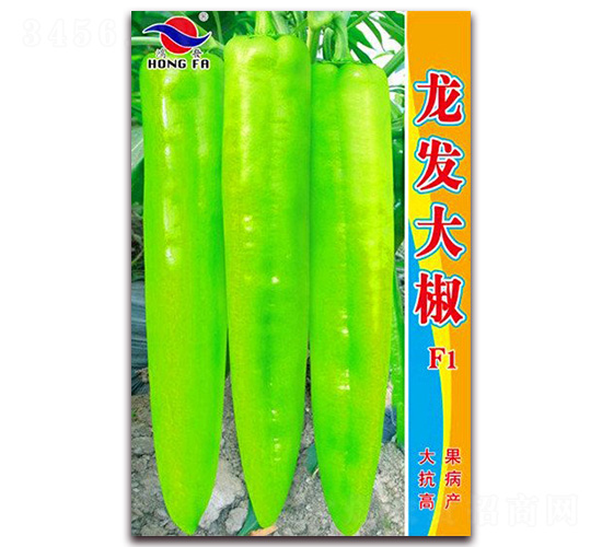 ������-�⽷����-�췢��ҵ