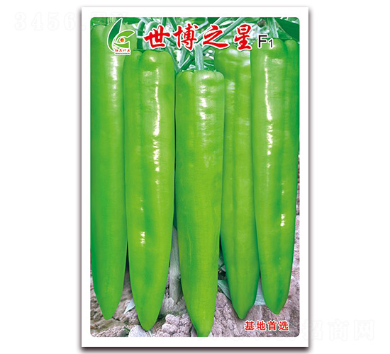 ����֮��-�⽷����-�췢��ҵ