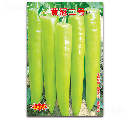 �ƹڶ���-�⽷����-�췢��ҵ