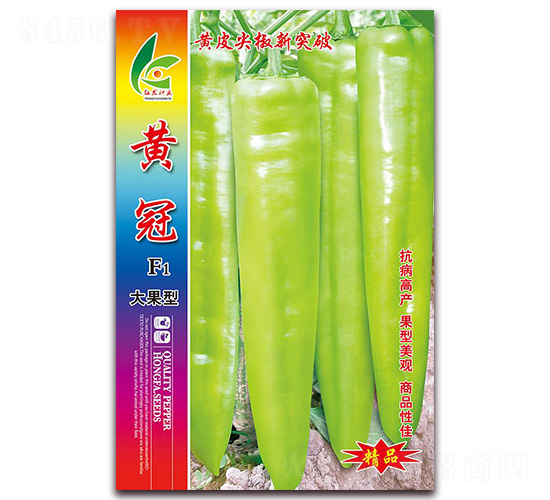 �ƹ�-�⽷����-�췢��ҵ