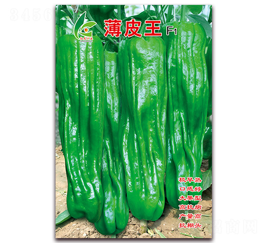 ��Ƥ��-��Ƥ�ݽ�����-�췢��ҵ