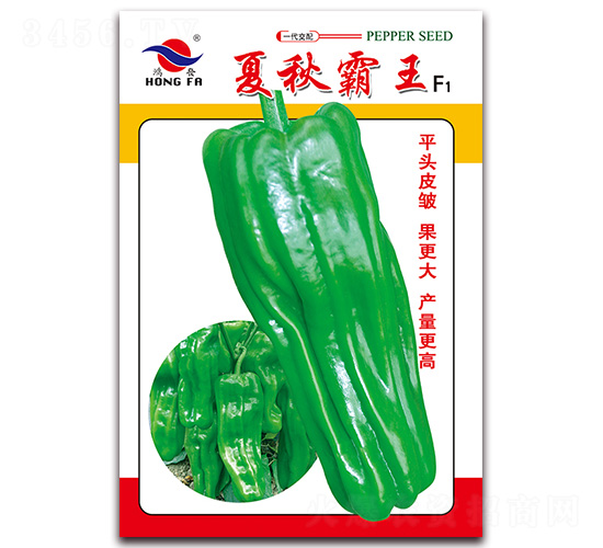 �������-��Ƥ�ݽ�����-�췢��ҵ