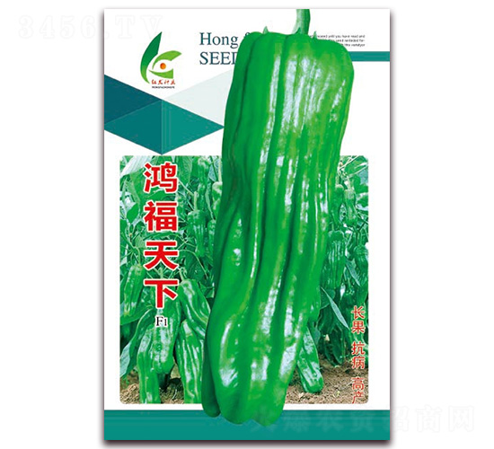 �踣����-��Ƥ�ݽ�����-�췢��ҵ