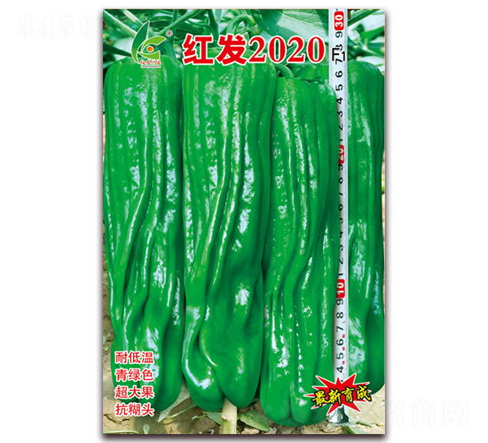 �췢2020-��Ƥ�ݽ�����-�췢��ҵ