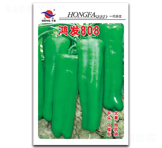 �跢808-��Ƥ�ݽ�����-�췢��ҵ