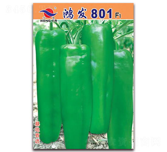 �跢801-��Ƥ�ݽ�����-�췢��ҵ