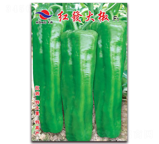 ��l��-��Ƥ�ݽ�����-�췢��ҵ