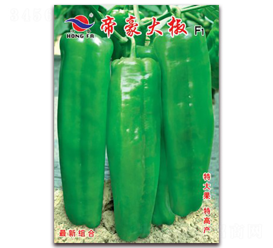 �ۺ���-��Ƥ�ݽ�����-�췢��ҵ