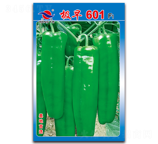 ����601-��Ƥ�ݽ�����-�췢��ҵ