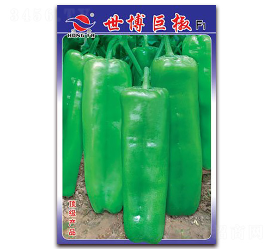�����޽�-��Ƥ�ݽ�����-�췢��ҵ